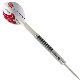      Target Colin Lloyd Stone CL21 steeltip ( )   