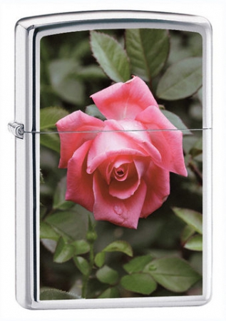  Zippo Rose  24527  