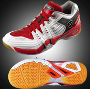 SHB-101 Limited 2009  