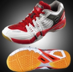 SHB-101 Limited 2009